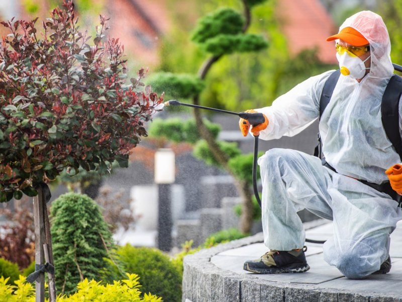 Sarıgöl Haşere İlaçlama